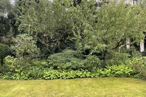 Property thumbnail 43