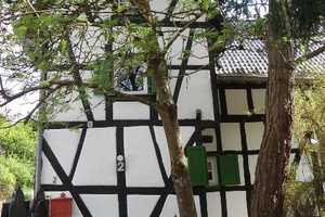 Umfangreich saniertes Fachwerkhaus/Bauernhaus mit kleiner Hofanlage Wohlfühlatmosphäre für Liebhaber – Euskirchen (Kreis) – Vorschaubild 7