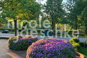 Property thumbnail 14