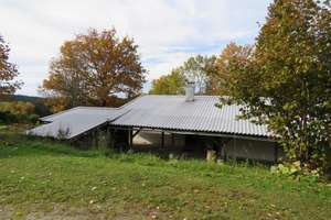 Wochenendhaus auf der Rusel in sehr sonniger Waldrandlage mit Fernsicht – Die vollständige Adresse der Immobilie erhältst du vom Anbieter., 94469 Deggendorf – Vorschaubild 6