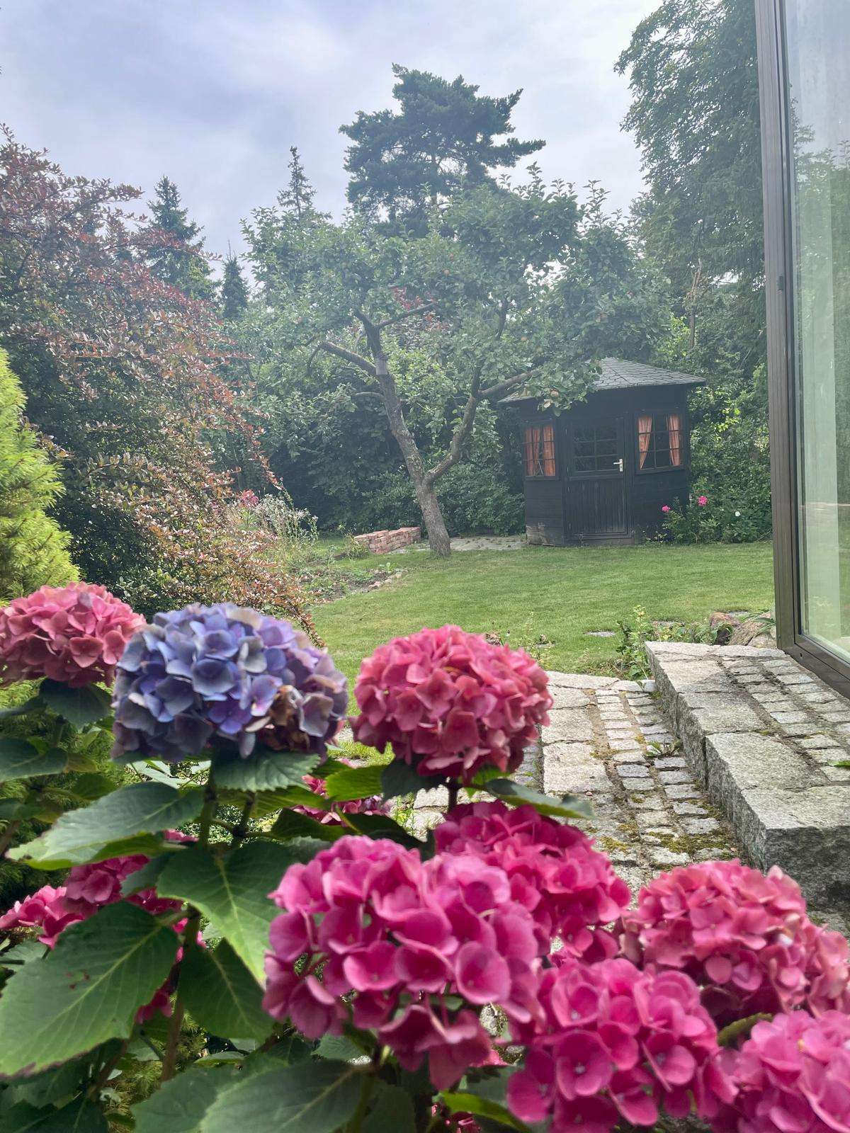 Historisches Fachwerkjuwel in zentraler Lage von Groß Schwülper – mit Einliegerwohnung, Gifhorn Kreis – Bild 1