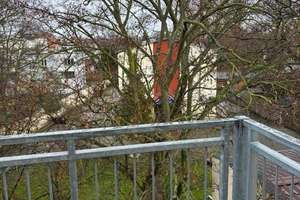 Ihr neues Zuhause wartet auf SIE !!! - Tageslichtbad, Balkon & Einbauküche – Braunschweiger Str. 9, 39112 Sudenburg, Magdeburg – Vorschaubild 9