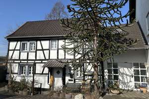 ÜBER 242 m² WOHNFLÄCHE ZUM ATTRAKTIVEN PREIS - 2 EINHEITEN BEZUGSFERTIG IN BONN HOLTORF – Die vollständige Adresse der Immobilie erhältst du vom Anbieter., 53229 Holtorf, Bonn – Vorschaubild 3