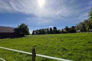 Ihr Traumhaus in ländlicher Idylle! – Kleve (Kreis) – Vorschaubild 11