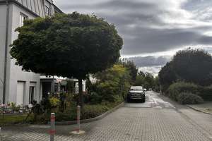 Helle, gemütliche Wohnung in beliebter Lage Tolkewitz - 2-Zimmer-Wohnung – 1279 Tolkewitz/Seidnitz-Nord, Dresden – Vorschaubild 19