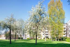 Wohnung mit Balkon zur Streuobstwiese im Innenhof – Further Straße 19, 9113 Schloßchemnitz, Chemnitz – Vorschaubild 8