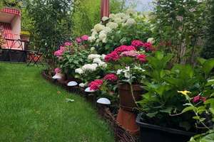 Schöne 2 Zimmer-Gartenwohnung in Ruhiger Lage – Die vollständige Adresse der Immobilie erhältst du vom Anbieter., 80935 Lerchenau-Ost, München – Vorschaubild 12