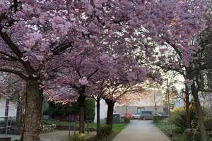 Property thumbnail 13