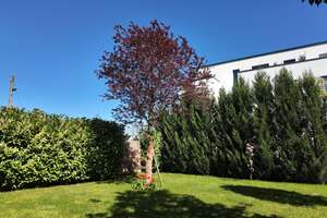 Einfamilienhaus - Neubau - Rodenkirchen im Sürther Feld – Die vollständige Adresse der Immobilie erhältst du vom Anbieter., 50999 Rodenkirchen (Ortsteil), Köln – Vorschaubild 19