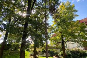 ***Ab 01.08.2026 frei zur Selbstnutzung,  Terrasse mit eigenem Gartenanteil*** – Louise-Seidler-Straße 19, 1217 Leubnitz-Neuostra, Dresden – Vorschaubild 8