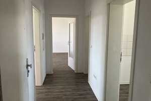 Ideal für Familien: weitläufige 3-Zimmer-Wohnung – Holländische Str. 176, 34127 Nord (Holland), Kassel – Vorschaubild 7