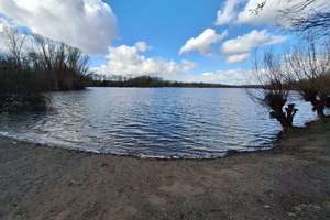 Kleiner Bungalow mit Terrasse, Kamin und Stellplatz in ruhiger Lage nahe dem Uettelsheimer See! – Die vollständige Adresse der Immobilie erhältst du vom Anbieter., 47198 Alt-Homberg, Duisburg – Vorschaubild 6