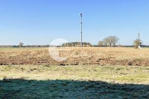 Resthof am Ortsrand von Hankensbüttel – Weitblick, Ruhe und vielseitige Möglichkeiten! – Die vollständige Adresse der Immobilie erhältst du vom Anbieter., 29386 Hankensbüttel – Vorschaubild 39