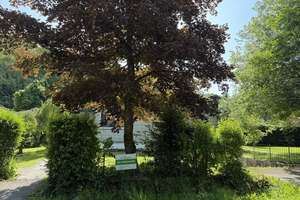 Bungalow in der Schwerzfelder Straße in Roetgen – Die vollständige Adresse der Immobilie erhältst du vom Anbieter., 52159 Roetgen – Vorschaubild 2
