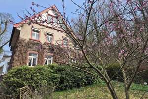 Charmantes EFH in Toplage von Hohenlimburg – wecken Sie dieses Juwel aus dem Dornröschenschlaf! – Die vollständige Adresse der Immobilie erhältst du vom Anbieter., 58119 Hohenlimburg (Ortsteil), Hagen – Vorschaubild 5