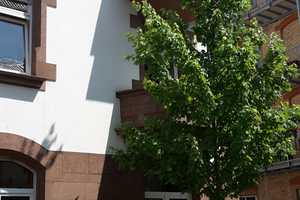 MA-Neckarstadt-Ost Uhlandstr., schöne 2-Zimmer-Altbauwohnung  – Mannheim – Vorschaubild 1