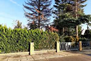 Property thumbnail 12