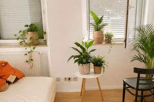 Außergewöhnliche 4,5-Zimmer-Wohnung mit Loft-Charakter – stadtnah und ruhig in grüner Hoflage – Pillenreutherstr. 66 a, 90459 Galgenhof, Nürnberg – Vorschaubild 10