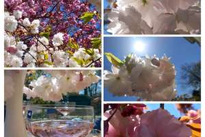 Property thumbnail 33