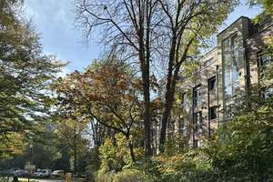 GARTENWOHNUNG! Ebenerdige 2 Zi.-EG-Wohnung im beliebten Stadtteil Bockum! – Die vollständige Adresse der Immobilie erhältst du vom Anbieter., 47800 Bockum, Krefeld – Vorschaubild 2