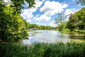 Property thumbnail 30