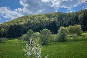 "Viel Platz & viele Möglichkeiten - Wohnhaus mit Garten und 4 Garagen in Albstadt-Pfeffingen" – Die vollständige Adresse der Immobilie erhältst du vom Anbieter., 72459 Albstadt – Vorschaubild 26