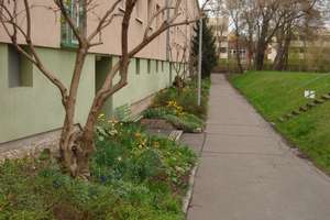 Gemütliche 2-Zimmer-Wohnung mit Loggia – Beyerleinstraße 8b, 4157 Gohlis-Nord, Leipzig – Vorschaubild 11