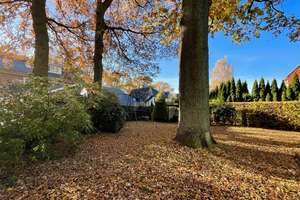 Property thumbnail 31