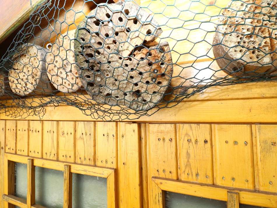 Wildbienen am Gartenhaus