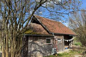 Stilvolles Landhaus mit 2 Wohnungen in top Lage - ruhig und sonnig! – Die vollständige Adresse der Immobilie erhältst du vom Anbieter., 88299 Leutkirch im Allgäu – Vorschaubild 4