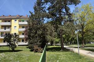 Absolut ruhige 3-4 Zi.-Wohnung direkt am Park - Südbalkon - Hobbyraum -Einzelgarage Mü-Milbertshofen – Milbertshofenerstraße 57 B, 80807 Milbertshofen, München – Vorschaubild 15