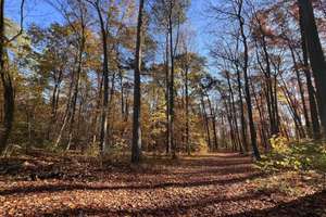 Property thumbnail 37