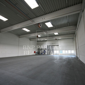 HALLENFLÄCHE IN KREFELD | RAMPE | PROVISIONSFREI