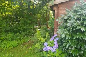 HAUS mit Garten, City-, Klinikums- und Naturnah – Am Neuenhof 37, 52074 Hanbruch, Aachen – Vorschaubild 22