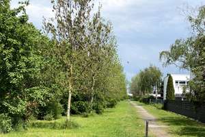 Familienhaus mit Garten, Mieteinnahmen & Entwicklungspotenzial in Köln-Widdersdorf – Die vollständige Adresse der Immobilie erhältst du vom Anbieter., 50859 Widdersdorf, Köln – Vorschaubild 19
