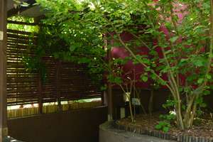Ihre Rückzugsoase im grünen Nikolassee mit viel Platz, Wellness & Garten – Tellheimstraße 14a, 14129 Nikolassee, Berlin – Vorschaubild 30