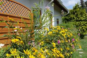 Freistehendes Einfamilienhaus mit sonnigem Garten – Goethestraße 5, 12526 Bohnsdorf, Berlin – Vorschaubild 16