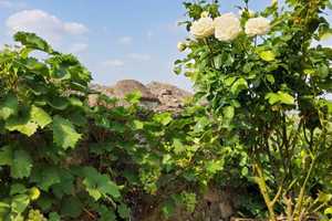 Property thumbnail 38