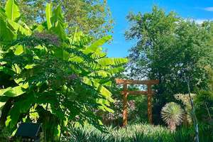 Property thumbnail 19