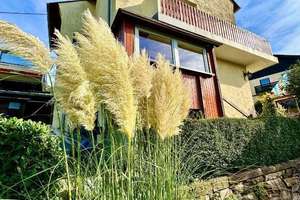 Einfamilienhaus mit Panormablick | 4ZKB | 115 m² Wohnfläche | ca. 813 m² Grundfläche | Kyllburg – Die vollständige Adresse der Immobilie erhältst du vom Anbieter., 54665 Kyllburg – Vorschaubild 22
