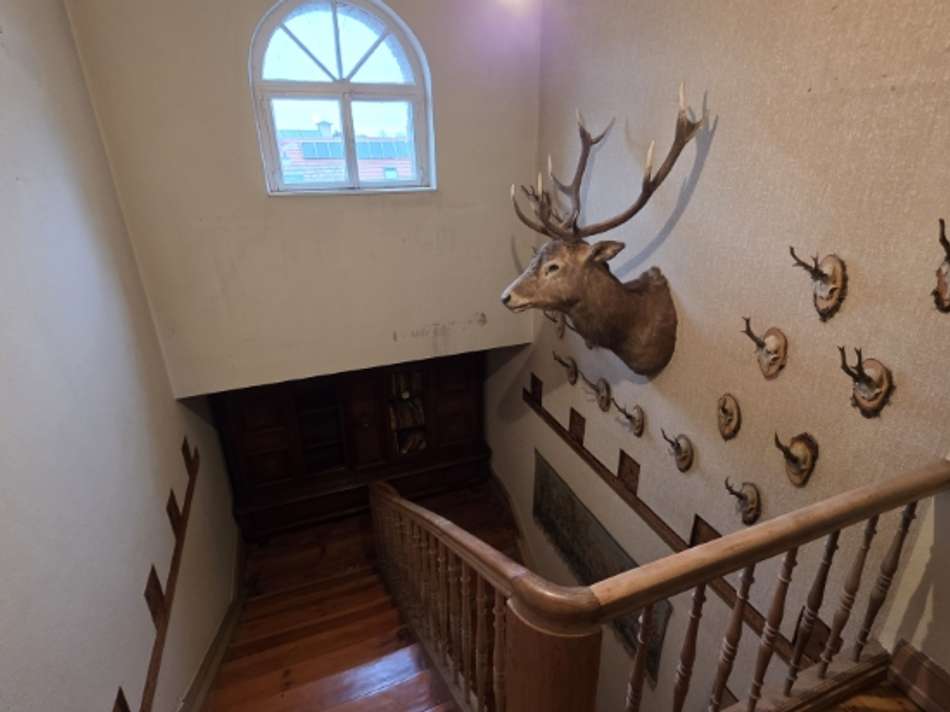 VK-1519 Dachgeschoss (4)