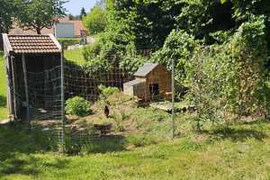 Traumhaftes Wohnparadies mit großem Garten und Panoramablick – Freyung-Grafenau (Kreis) – Vorschaubild 12