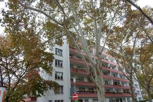 Oststadt Carl-Reiß-Platz, 3 Zi. Whg. im II. OG – Die vollständige Adresse der Immobilie erhältst du vom Anbieter., 68165 Schwetzingerstadt/Oststadt, Mannheim – Vorschaubild 1