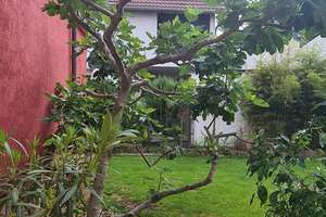 Schönes Einfamilienhaus mit sehr gutter Ausstattung in Weinheim-Sulzbach – Andersenstraße 7, 69469 Weinheim – Vorschaubild 5