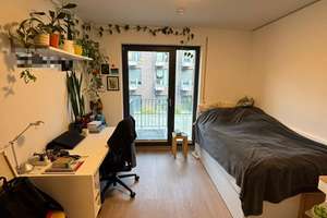 STUDIO LIVING - Moderne ETW im Studentenkomplex in Potsdam – Reiherweg 4, 14469 Bornstedt, Potsdam – Vorschaubild 9