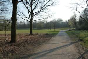 Property thumbnail 15