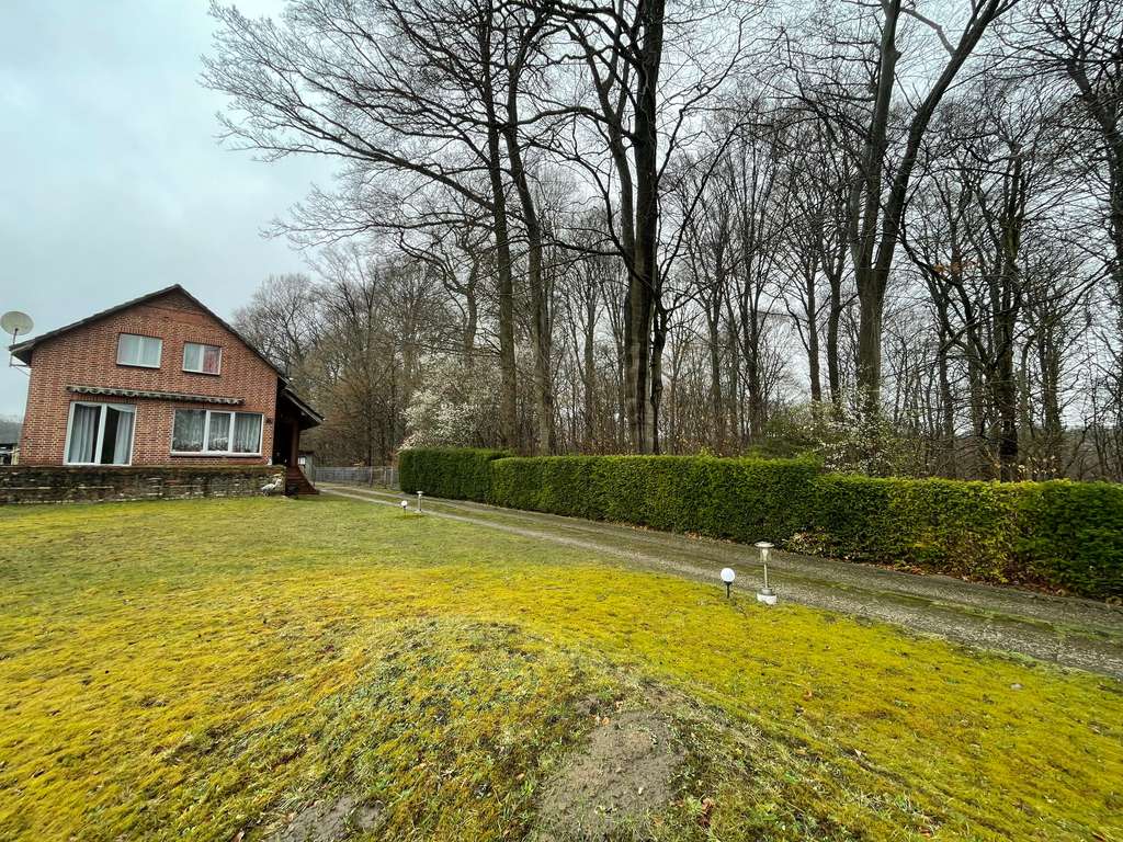 Immobilie in Börnsen - Zweifamilienhaus mit 6 Zimmern in exklusiver Lage direkt am Naturschutzgebiet "Dalbekschlucht" - Bild 2