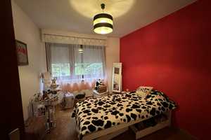 Großzügiges Einfamilienhaus mit ELW – Freudenstadt (Kreis) – Vorschaubild 12