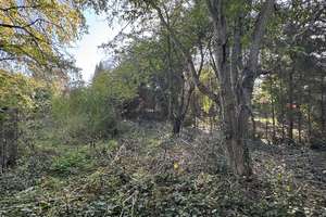 Sanierungsbedürftiger Bungalow mit großem Grundstück zu verkaufen! – Sülldorfer Straße 34, 39122 Salbke, Magdeburg – Vorschaubild 45