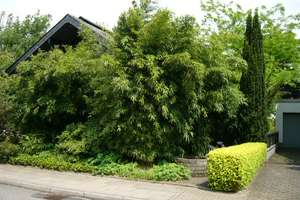 SINGLE Wohnung mit EBK in Essen Frillendorf